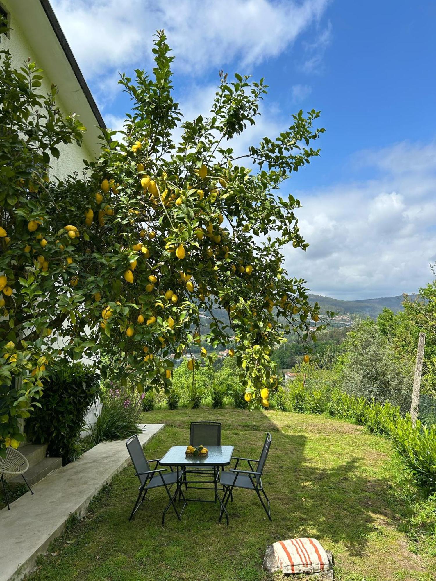 Villa Casa De Fraguas Arouca Exterior foto